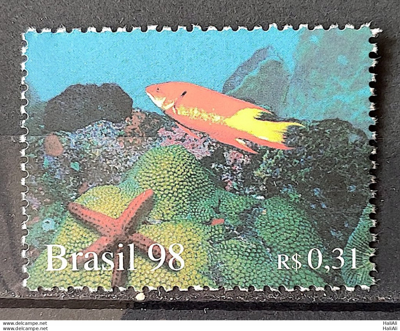 C 2109 Brazil Stamp Oceans Fish Star Coral 1998 - Unused Stamps