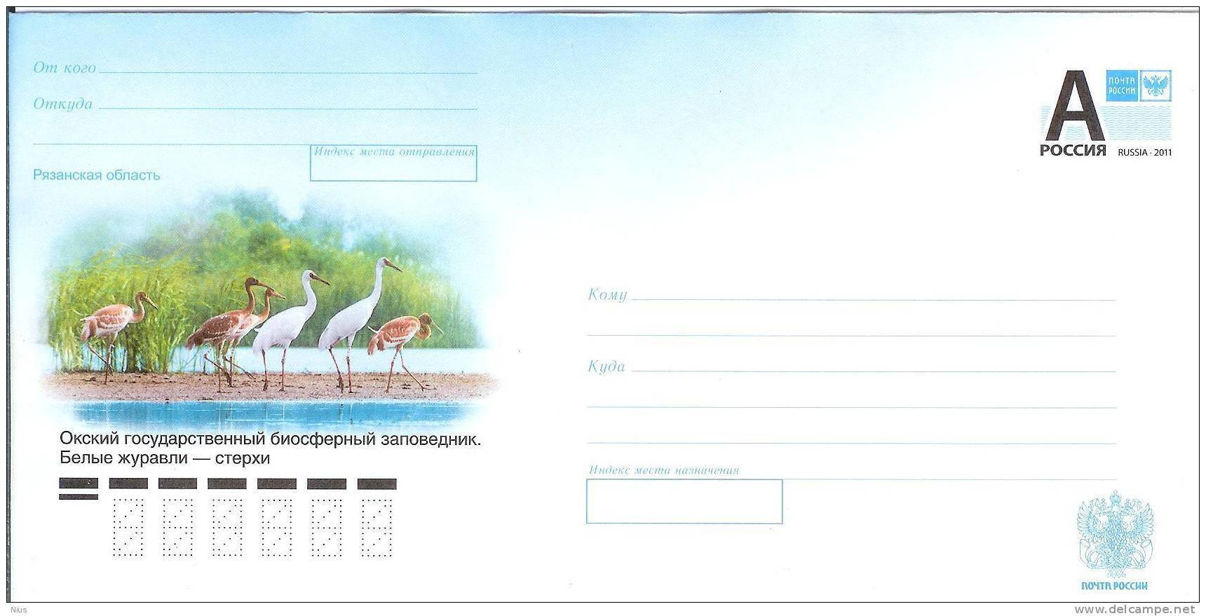 Russia 2011 Crane Cranes Bird Birds Fauna - Stamped Stationery