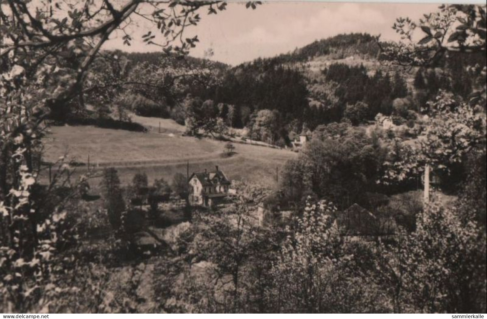 87575 - Pöhl-Jocketa - Barthmühle - 1968 - Pöhl