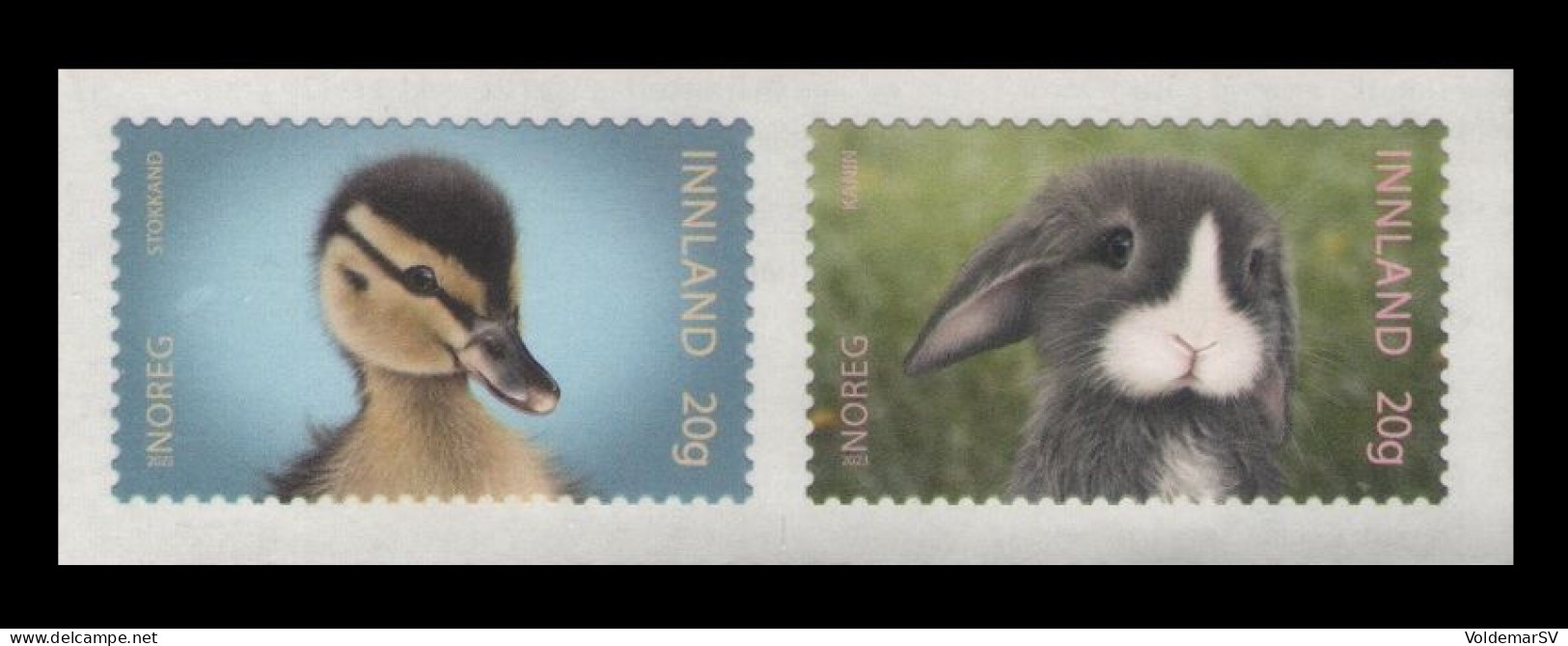 Norway 2023 Mih. 2116/17 Fauna. Pets. Domestic Animals. Mallard And Rabbit MNH ** - Neufs