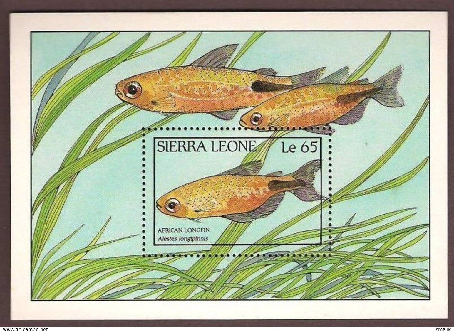 SIERRA LEONE 1988 - Fishes Miniature Sheet MNH - Sierra Leone (1961-...)