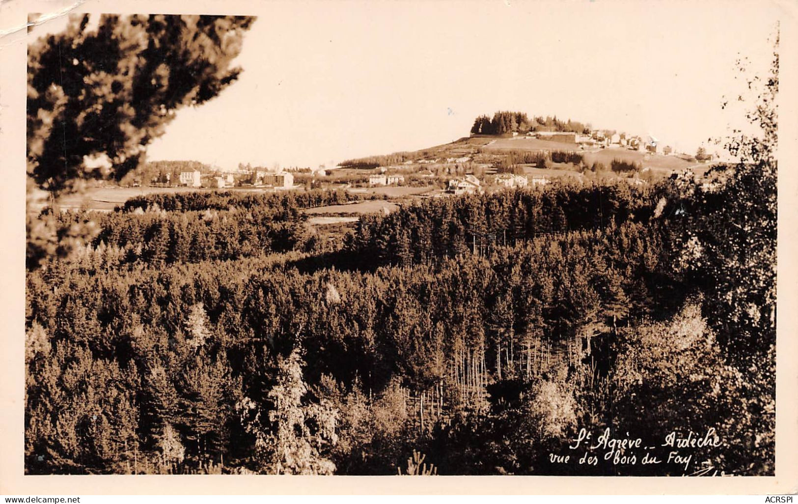 07    SAINT-AGREVE  Vue Des Bois Du FAY           (Scan R/V) N°   14   \MS9008 - Saint Agrève