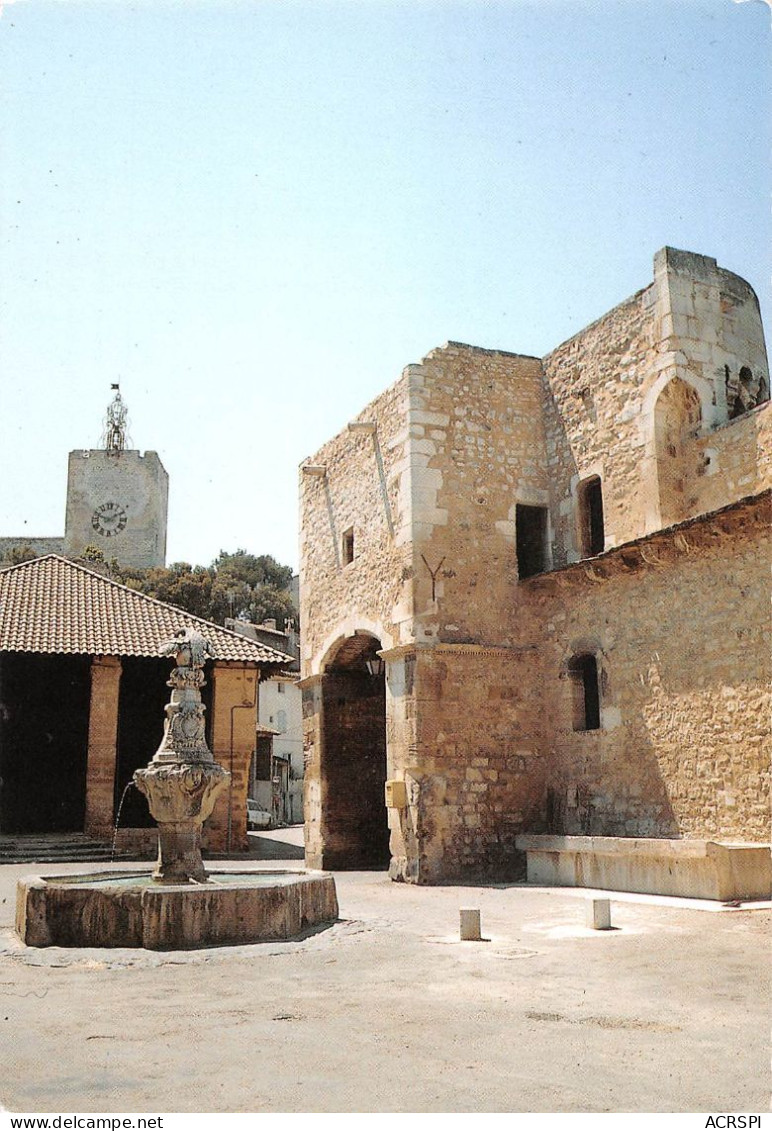 84 Pernes-les-Fontaines La Fontaine Di Cormoran  Carte Vierge Non Voyagé (Scan R/V) N°   8   \MS9080 - Pernes Les Fontaines