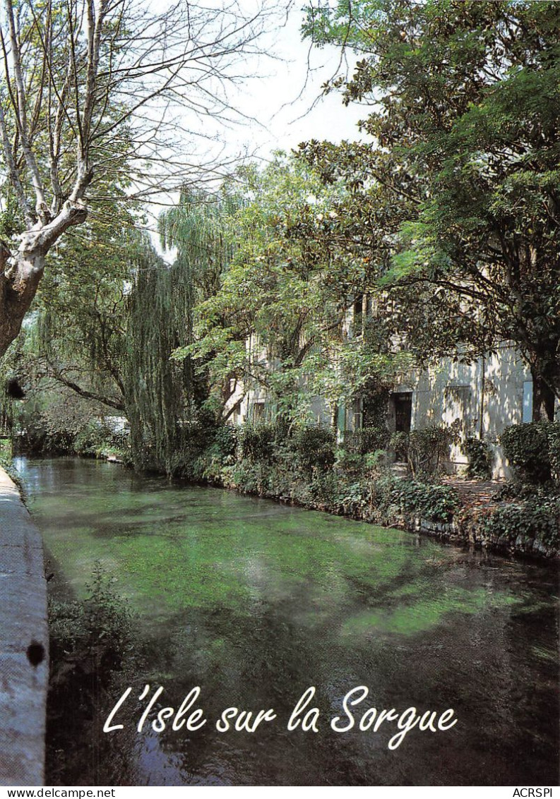 84  L'Isle-sur-la-Sorgue Promenade Sur Les Rives Verdoyantes Du Canal  (Scan R/V) N°  23   \MS9077 - L'Isle Sur Sorgue