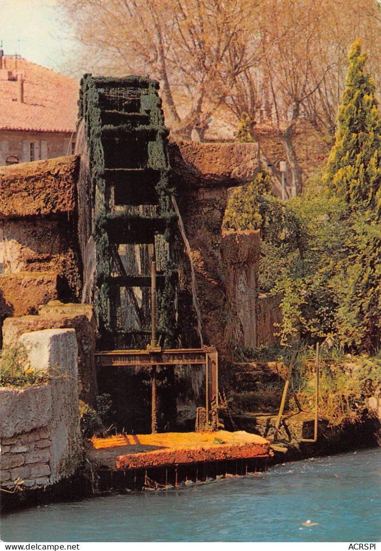 84  L'Isle-sur-la-Sorgue  Roue à Aubes Sur La Venise Comtadine (Scan R/V) N°  16   \MS9077 - L'Isle Sur Sorgue