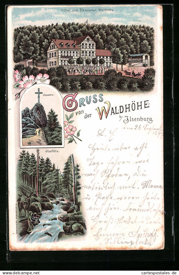 Lithographie Ilsenburg, Hotel Und Pensionsat Waldhöhe, Ilsestein Und Ilsenfälle  - Ilsenburg