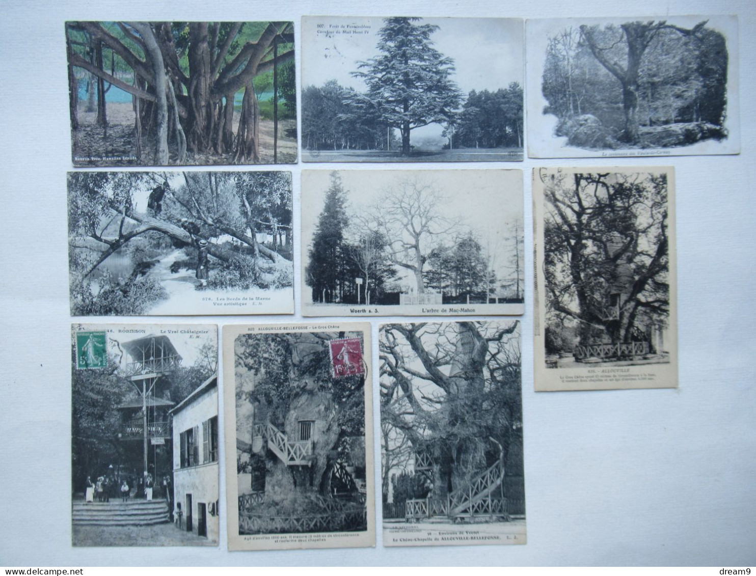 AGRICULTURE - ARBRES REMARQUABLES - Lot De 46 Cartes - Collezioni E Lotti