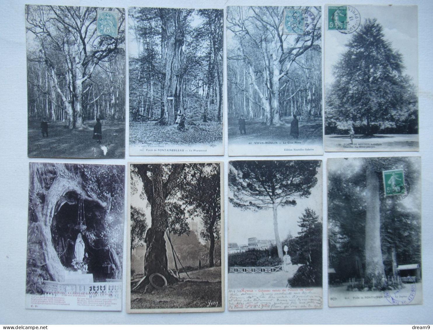 AGRICULTURE - ARBRES REMARQUABLES - Lot De 46 Cartes - Sammlungen & Sammellose