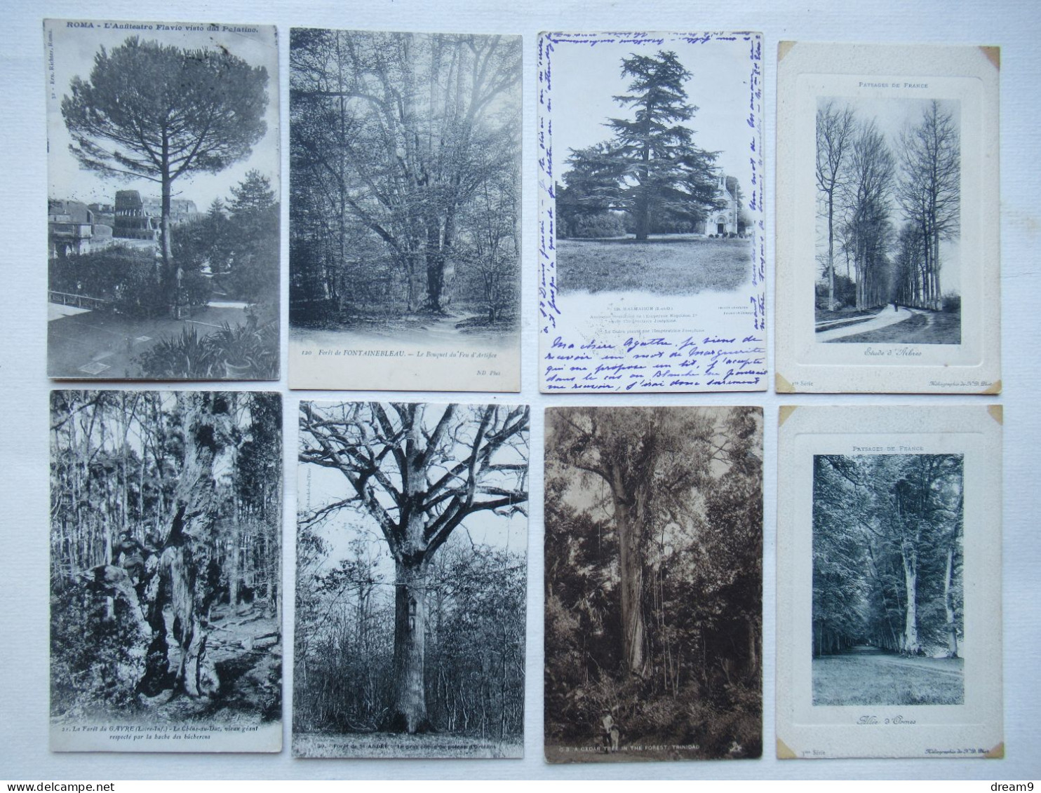 AGRICULTURE - ARBRES REMARQUABLES - Lot de 46 Cartes