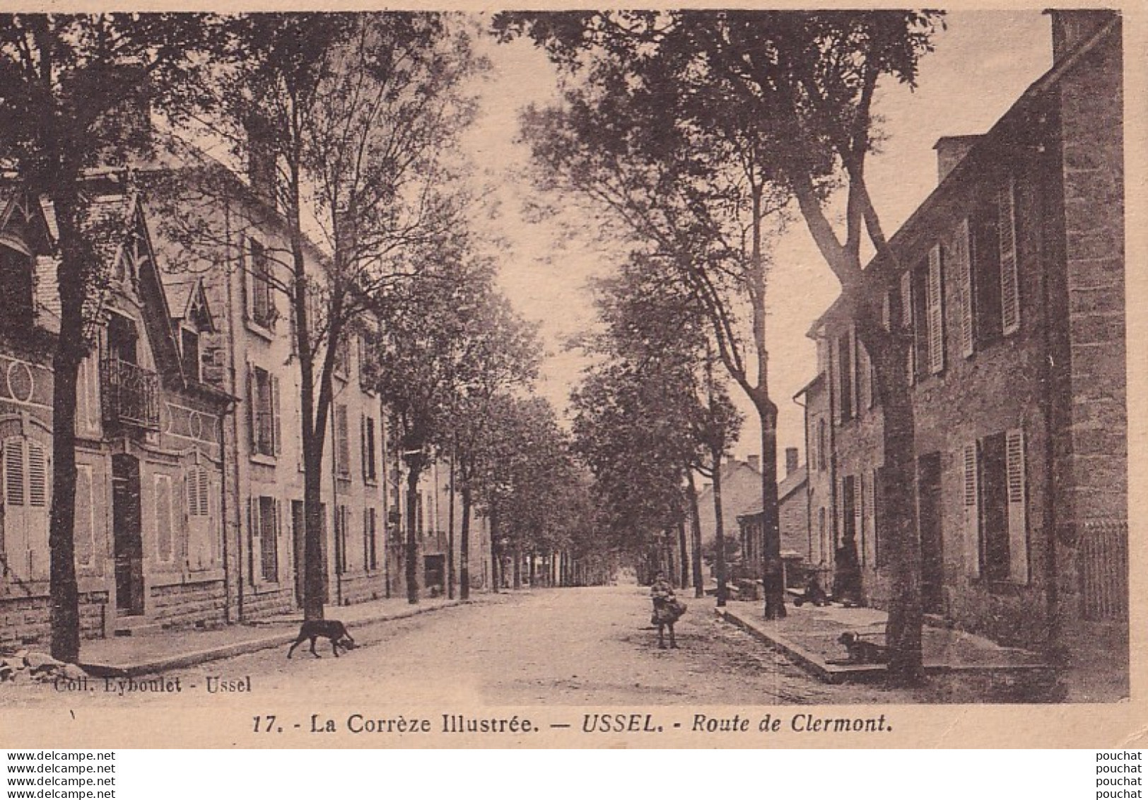 B8-19) USSEL (CORREZE) ROUTE DE CLERMONT   - ( 2 SCANS ) - Ussel