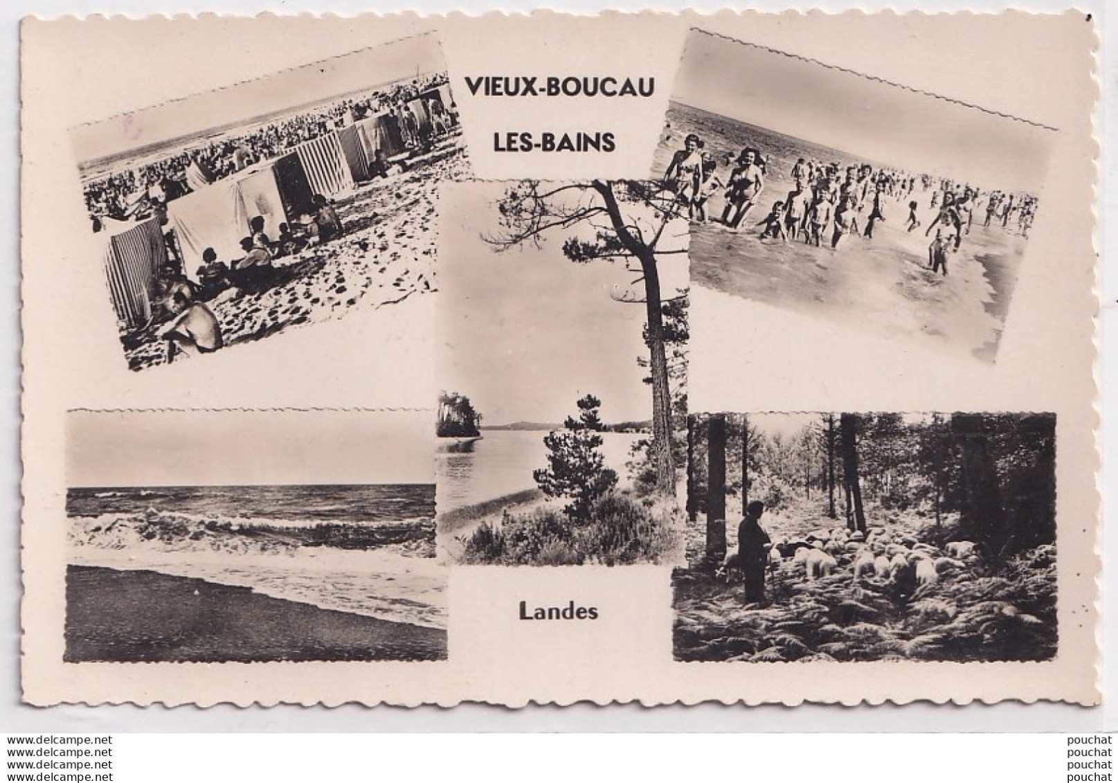 B16-40) VIEUX BOUCAU  LES  BAINS (LANDES) VUES DE LA PLAGE - LE COURANT - PATURAGE DANS LA FORET - ( 2 SCANS ) - Vieux Boucau