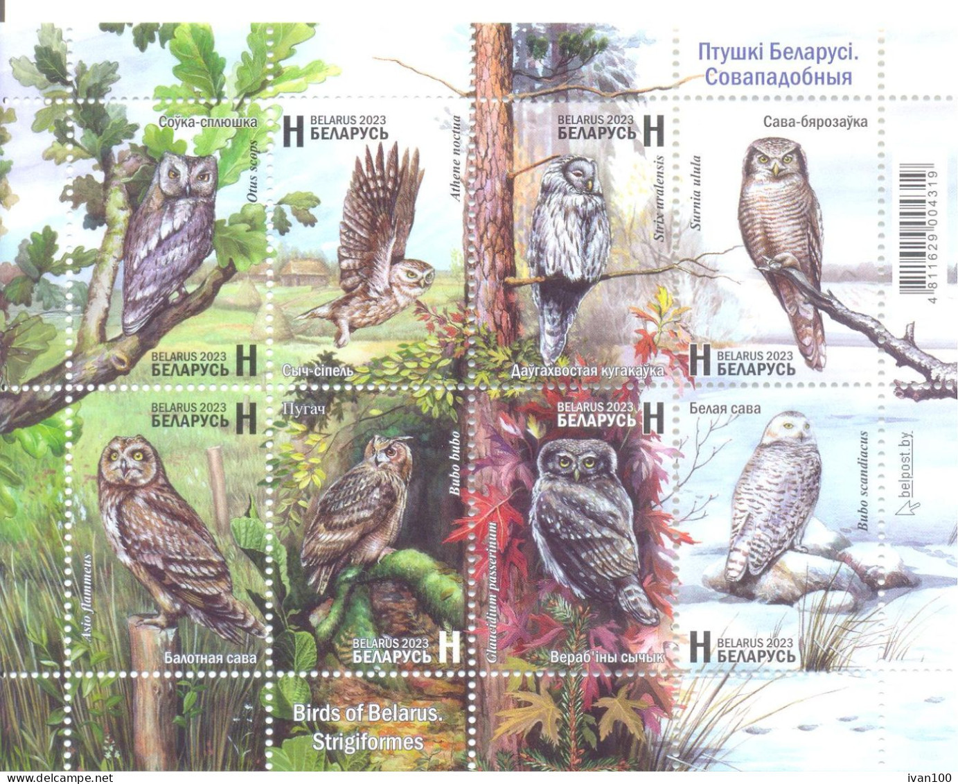 2023. Belarus, Birds Of Belarus, Owls/Strigiformes, S/s Perforated, Mint/** - Belarus