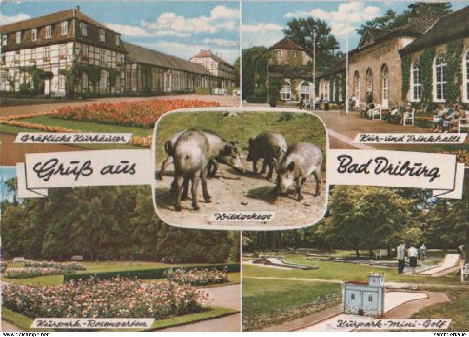 25222 - Bad Driburg U.a. Wildgehege - 1964 - Bad Driburg