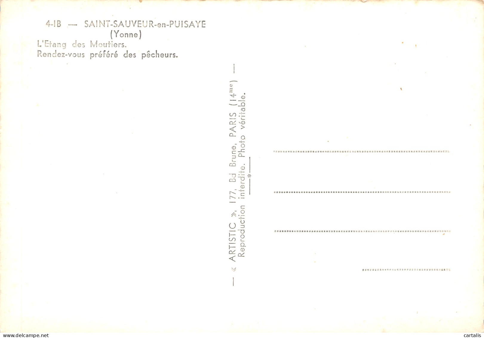 89-SAINT SAUVEUR EN PUISAYE-N°C-3664-D/0009 - Saint Sauveur En Puisaye