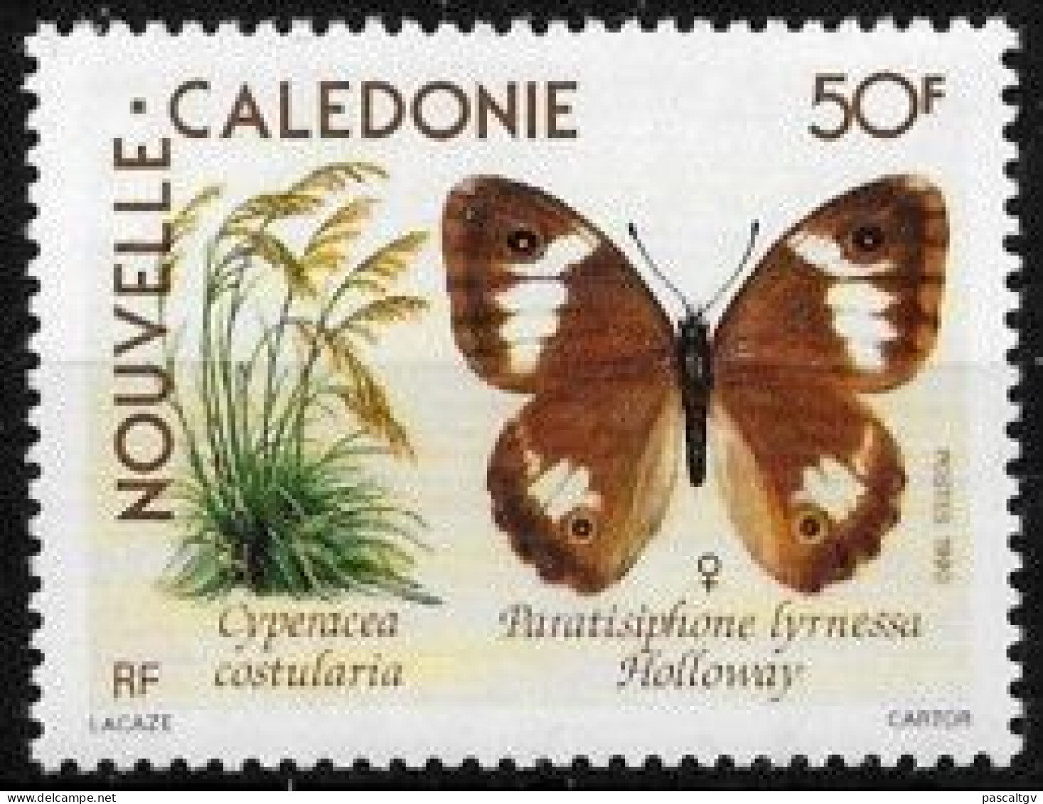 Nouvelle Calédonie - 1990 - N°590 ** - Unused Stamps