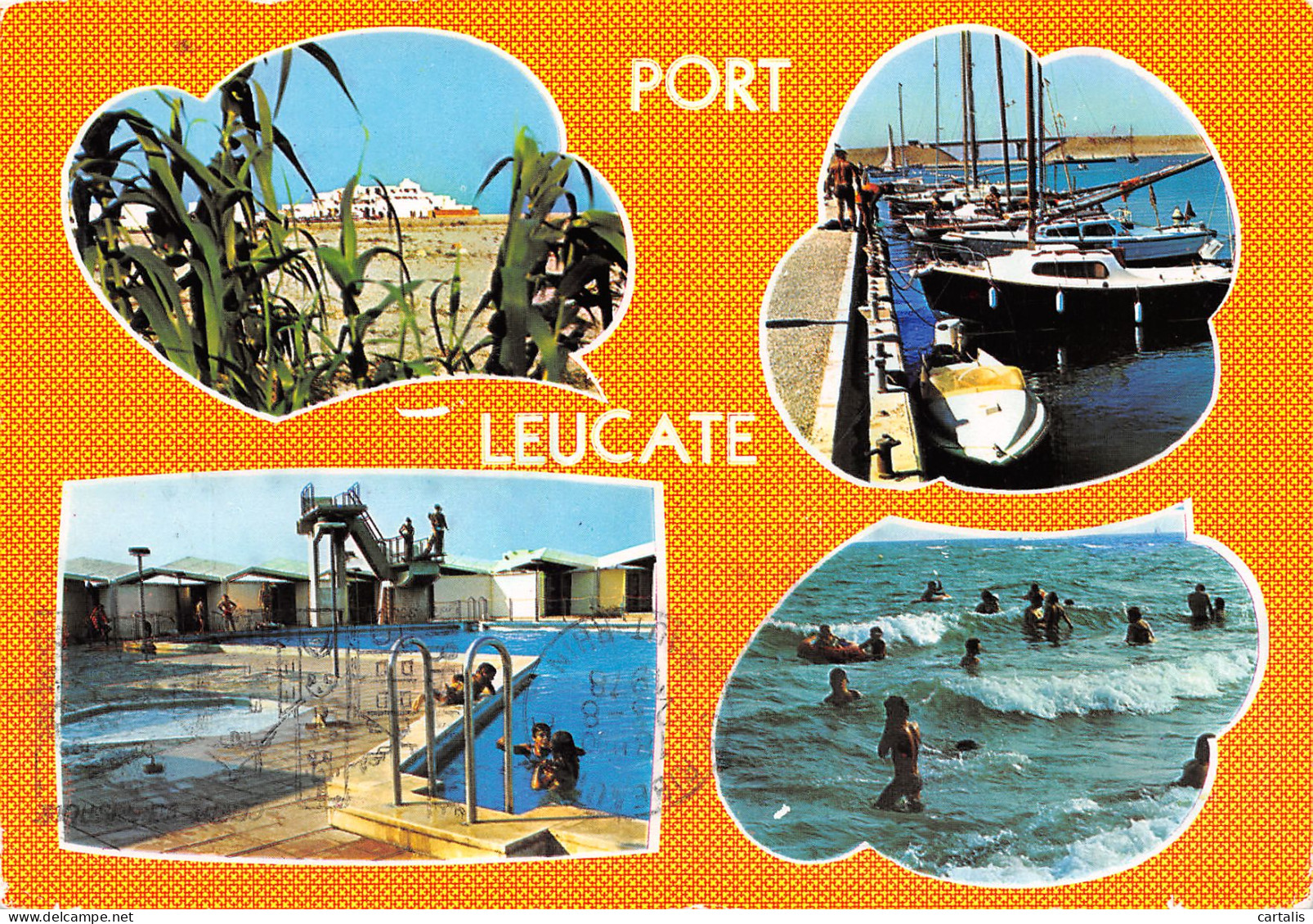 11-LEUCATE-N°C-3667-B/0319 - Leucate