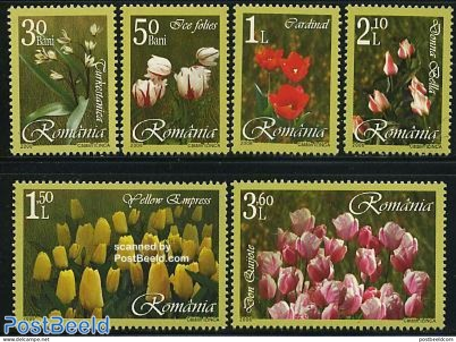 Romania 2006 Flowers 6v, Mint NH, Nature - Flowers & Plants - Neufs