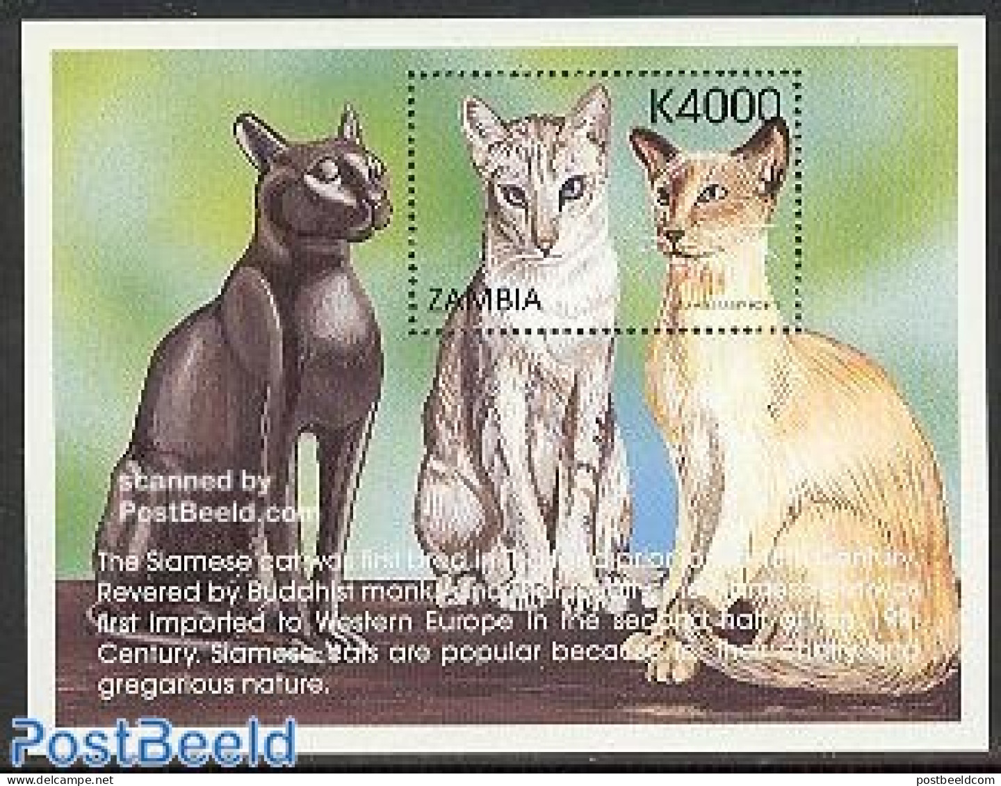 Zambia 1999 Siamese Cats S/s, Mint NH, Nature - Cats - Zambie (1965-...)