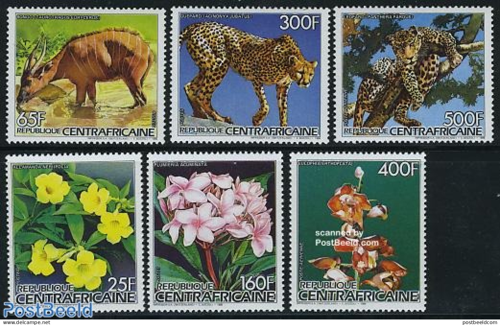 Central Africa 1986 Flowers, Animals 6v, Mint NH, Nature - Cat Family - Flowers & Plants - Central African Republic