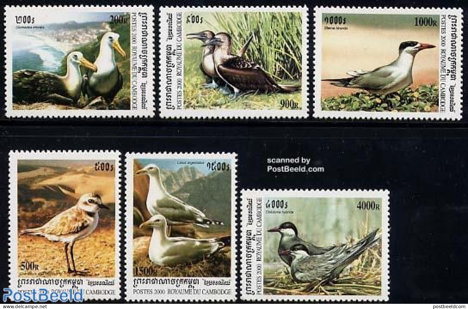 Cambodia 2000 Sea Birds 6v, Mint NH, Nature - Birds - Cambodia