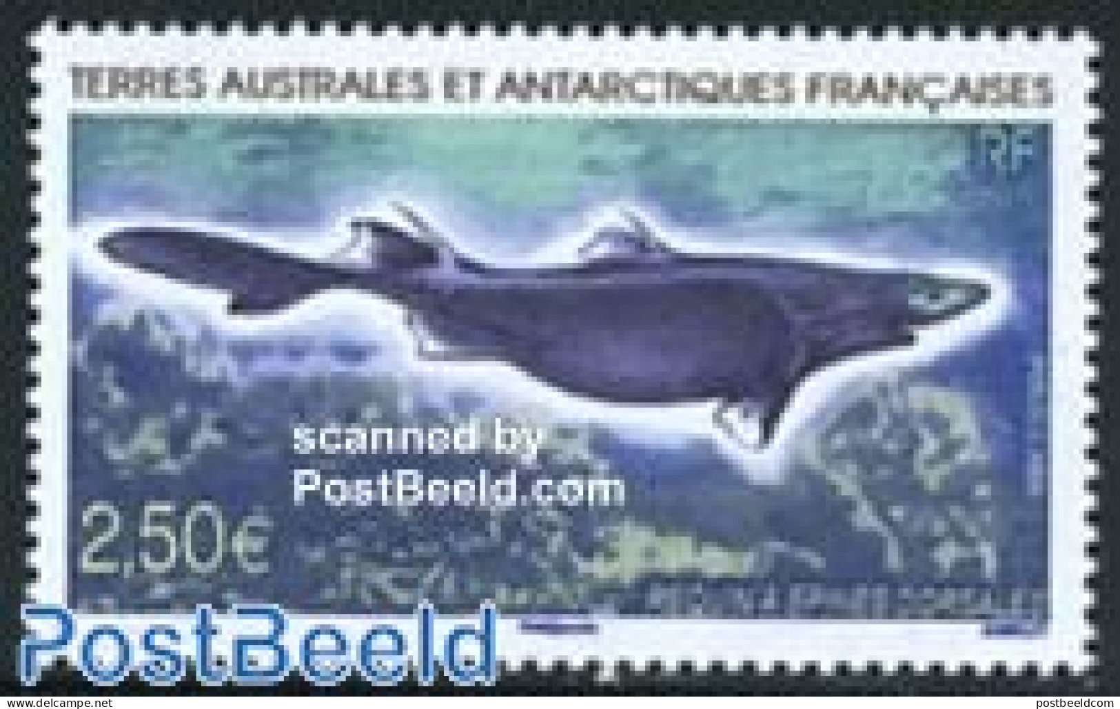 French Antarctic Territory 2009 Shark 1v, Mint NH, Nature - Fish - Unused Stamps
