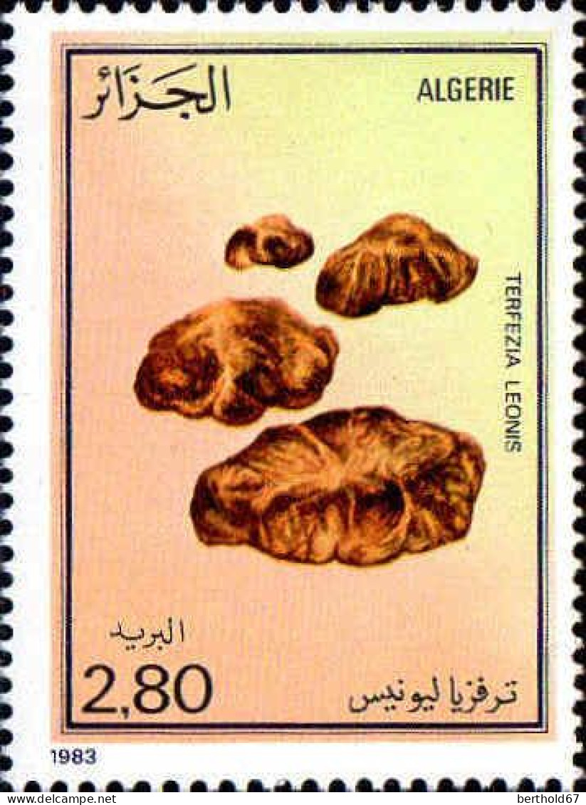 Algérie (Rep) Poste N** Yv: 790 Mi:830 Terfezia Leonis (Thème) - Funghi