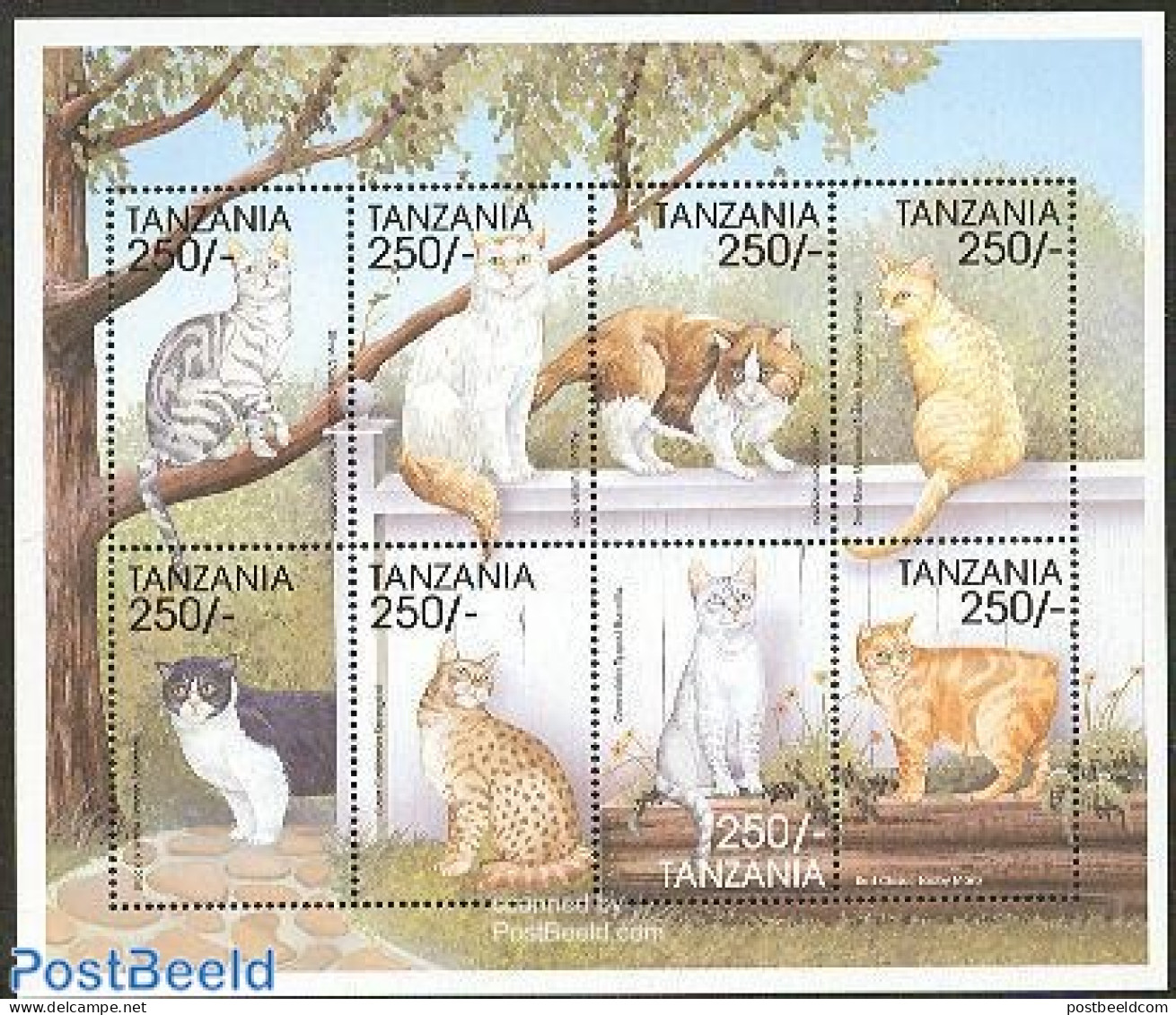 Tanzania 1999 Cats 8v M/s, Mint NH, Nature - Cats - Tanzania (1964-...)