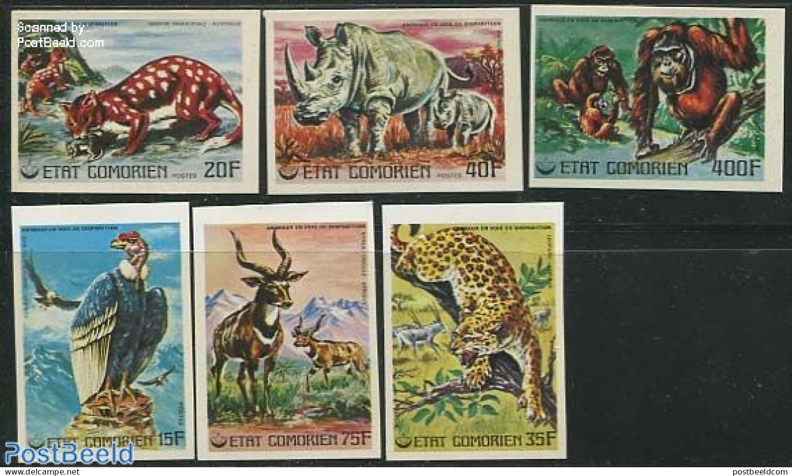 Comoros 1976 Animals 6v, Imperforated, Mint NH, Nature - Animals (others & Mixed) - Birds - Birds Of Prey - Cat Family.. - Comores (1975-...)