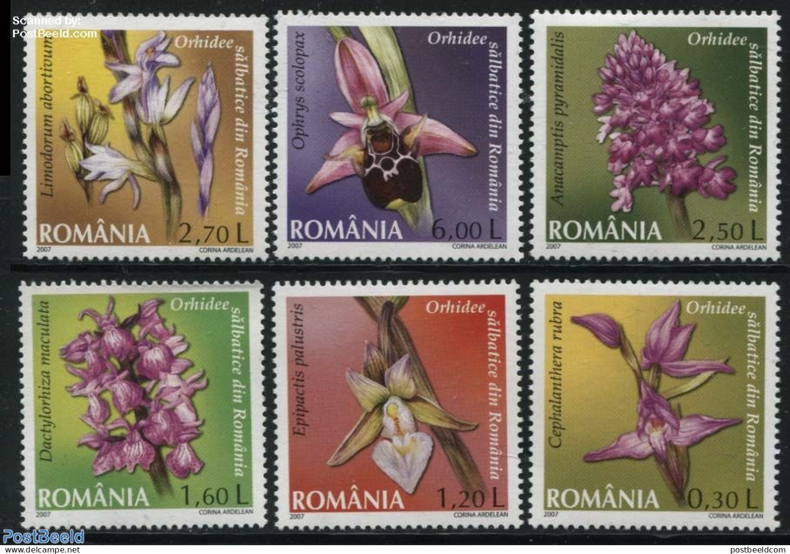 Romania 2007 Orchids 6v, Mint NH, Nature - Flowers & Plants - Orchids - Unused Stamps