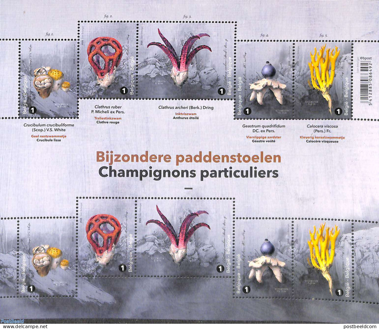 Belgium 2020 Mushrooms M/s, Mint NH, Nature - Mushrooms - Ungebraucht
