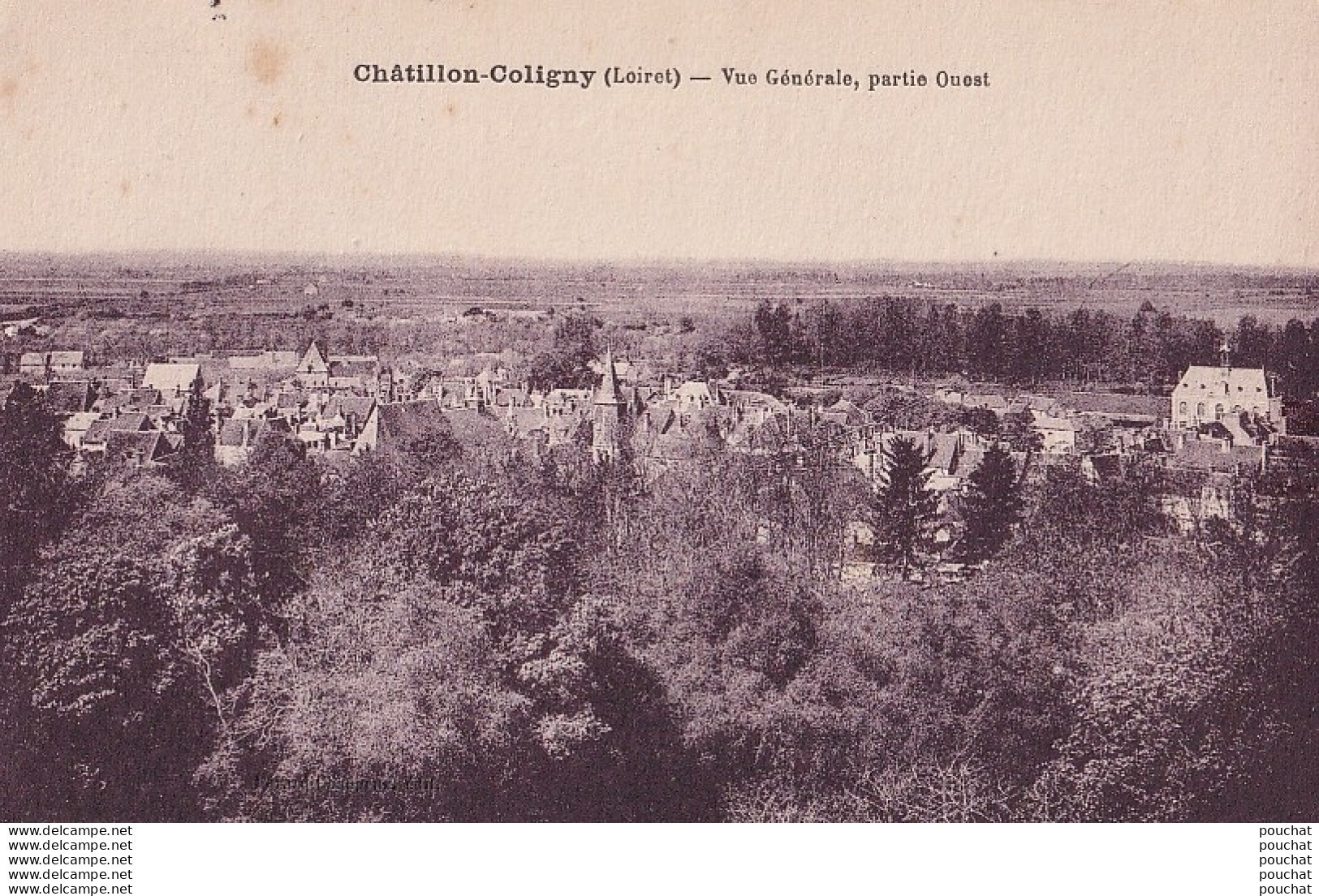 V25-45) CHATILLON COLIGNY (LOIRET) VUE GENERALE ,  PARTIE OUEST  - ( 2 SCANS ) - Chatillon Coligny