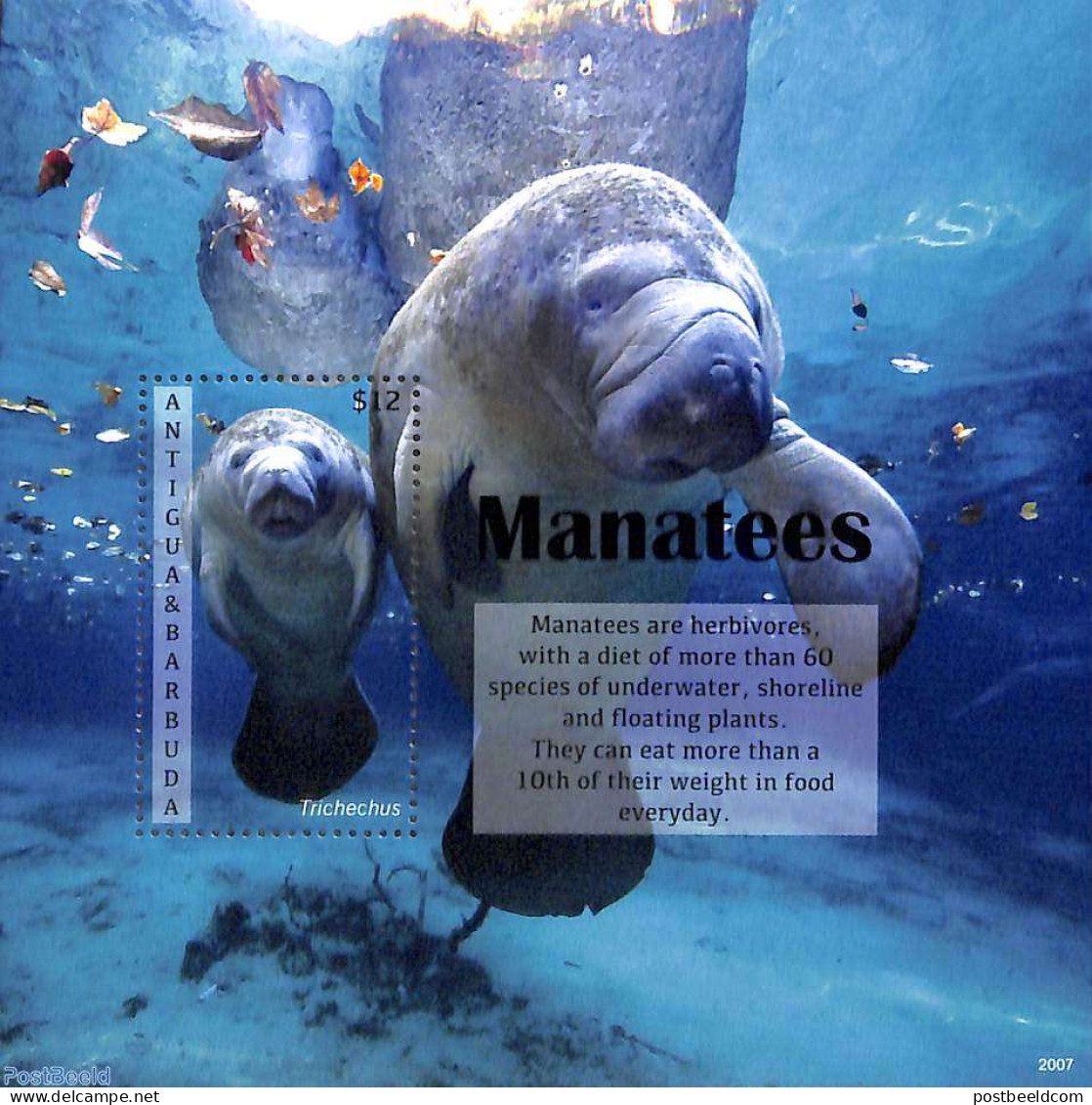Antigua & Barbuda 2020 Manatees S/s, Mint NH, Nature - Sea Mammals - Antigua Y Barbuda (1981-...)