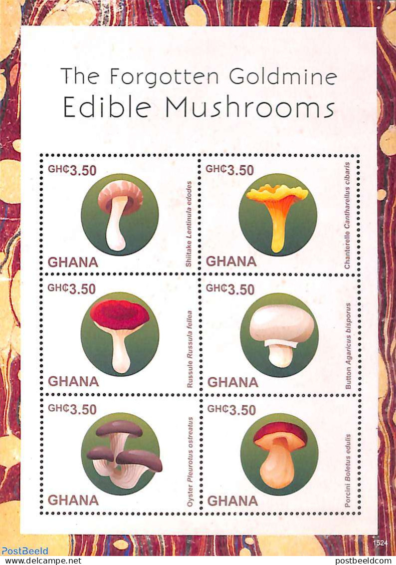 Ghana 2015 Mushrooms 6v M/s, Mint NH, Nature - Mushrooms - Pilze