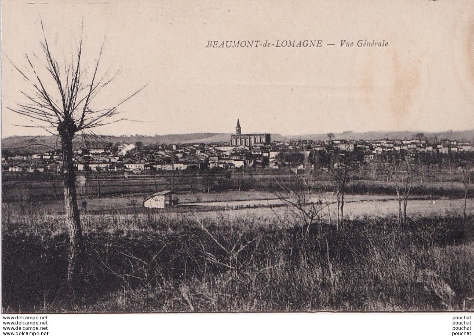 A3-82) BEAUMONT DE LOMAGNE -  VUE GENERALE - ( 2 SCANS )  - Beaumont De Lomagne