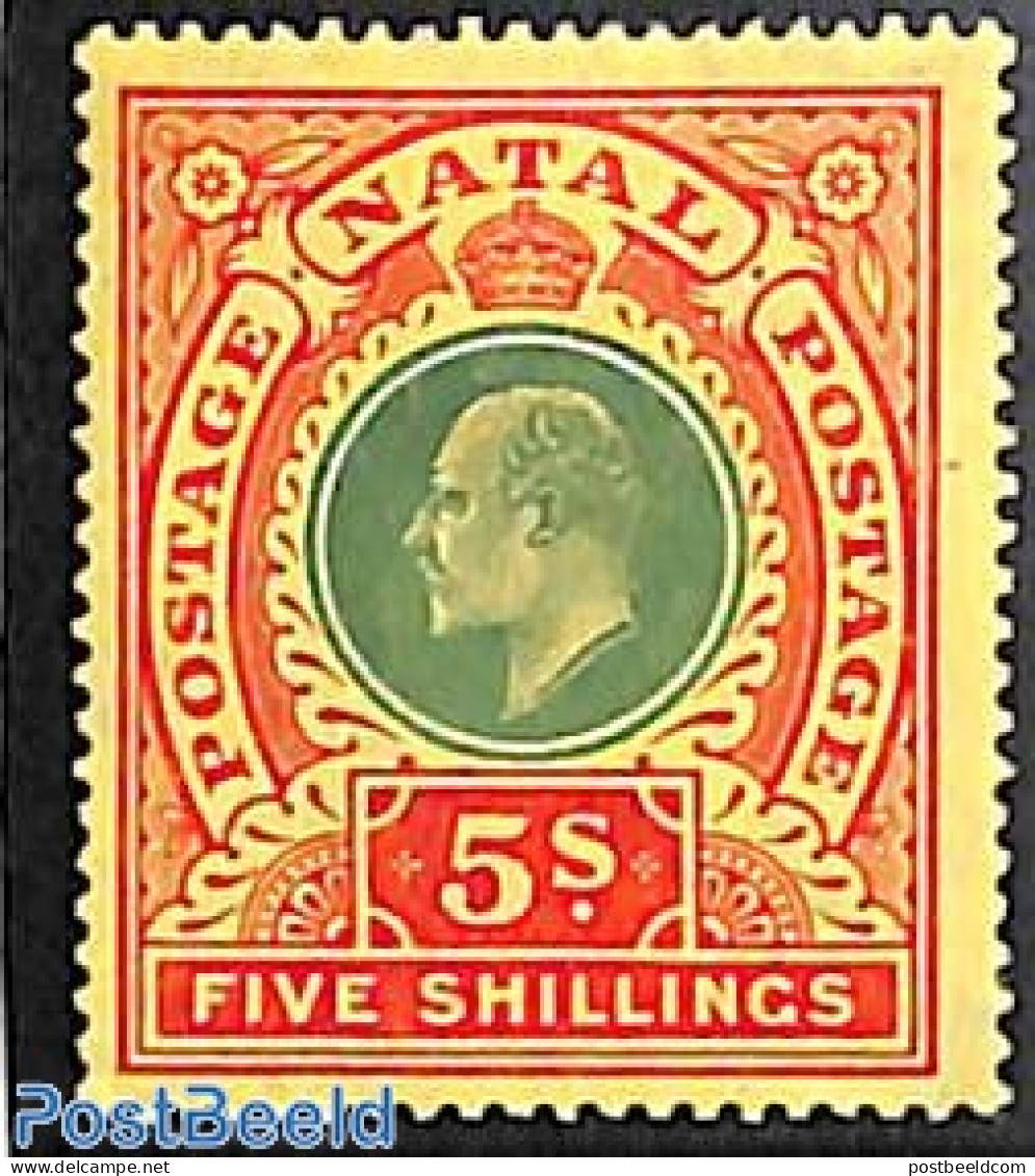 Natal 1908 5sh, Stamp Out Of Set, Unused (hinged) - Natal (1857-1909)