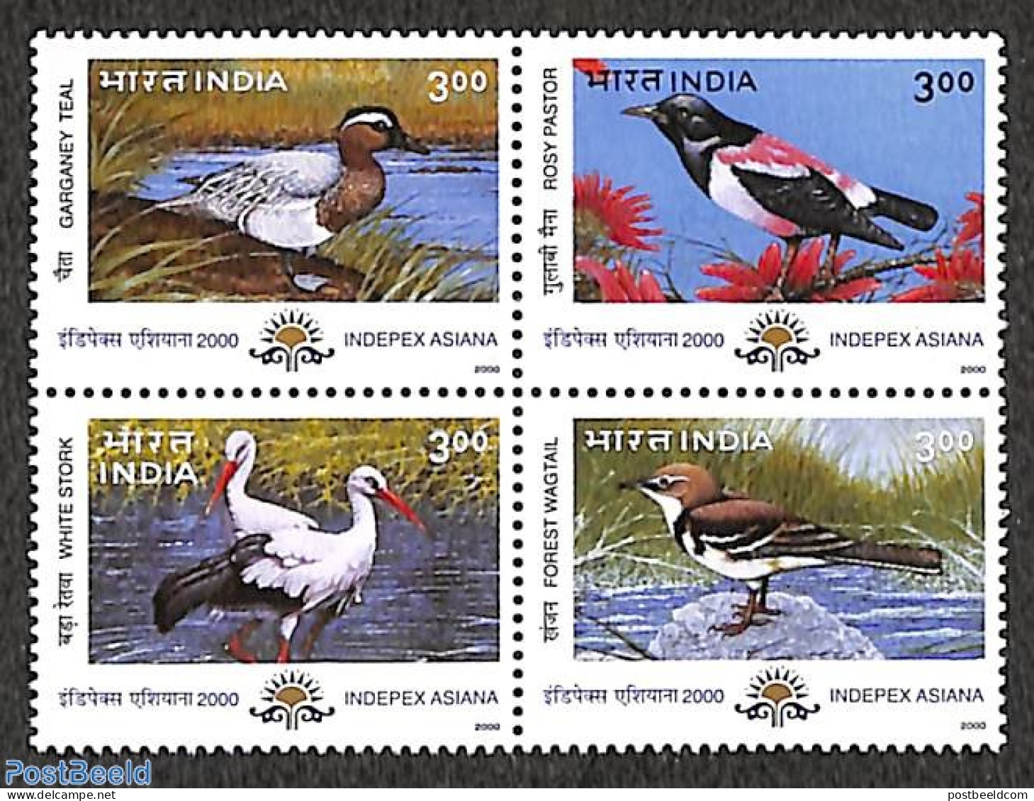 India 2000 Birds 4v [+], Mint NH, Nature - Birds - Ducks - Nuovi