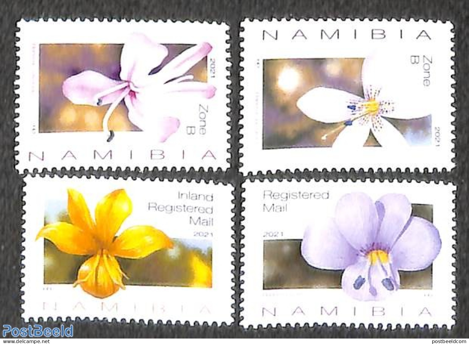 Namibia 2021 Flowers 4v, Mint NH, Nature - Flowers & Plants - Namibië (1990- ...)