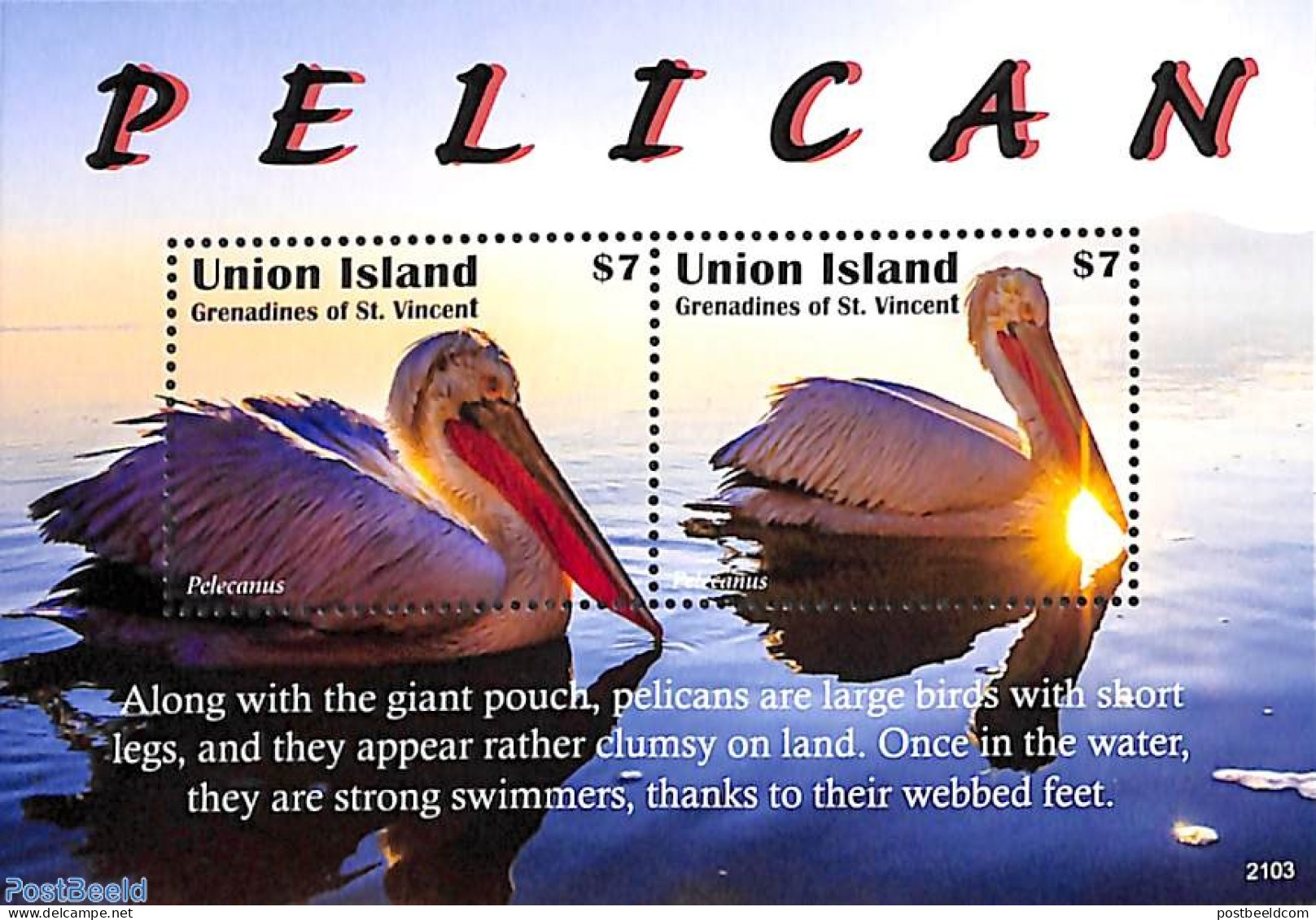 Saint Vincent & The Grenadines 2021 Union Island, Pelican 2v M/s, Mint NH, Nature - Birds - St.Vincent & Grenadines