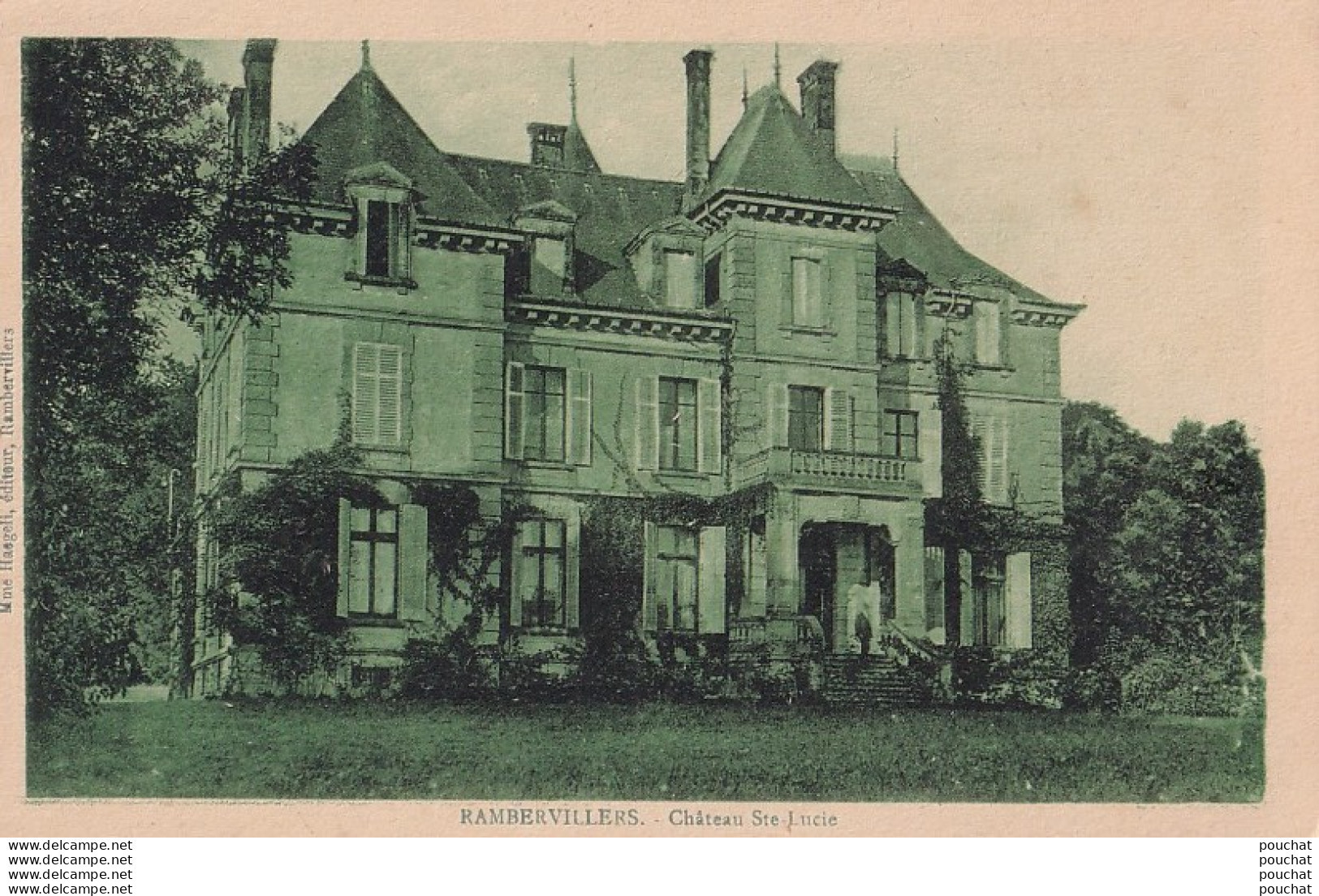 B1-88) RAMBERVILLERS (VOSGES) CHATEAU SAINTE LUCIE - ( 2 SCANS ) - Rambervillers