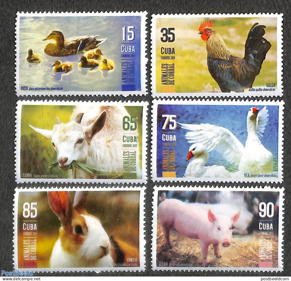 Cuba 2019 Farm Animals 6v, Mint NH, Nature - Cattle - Unused Stamps