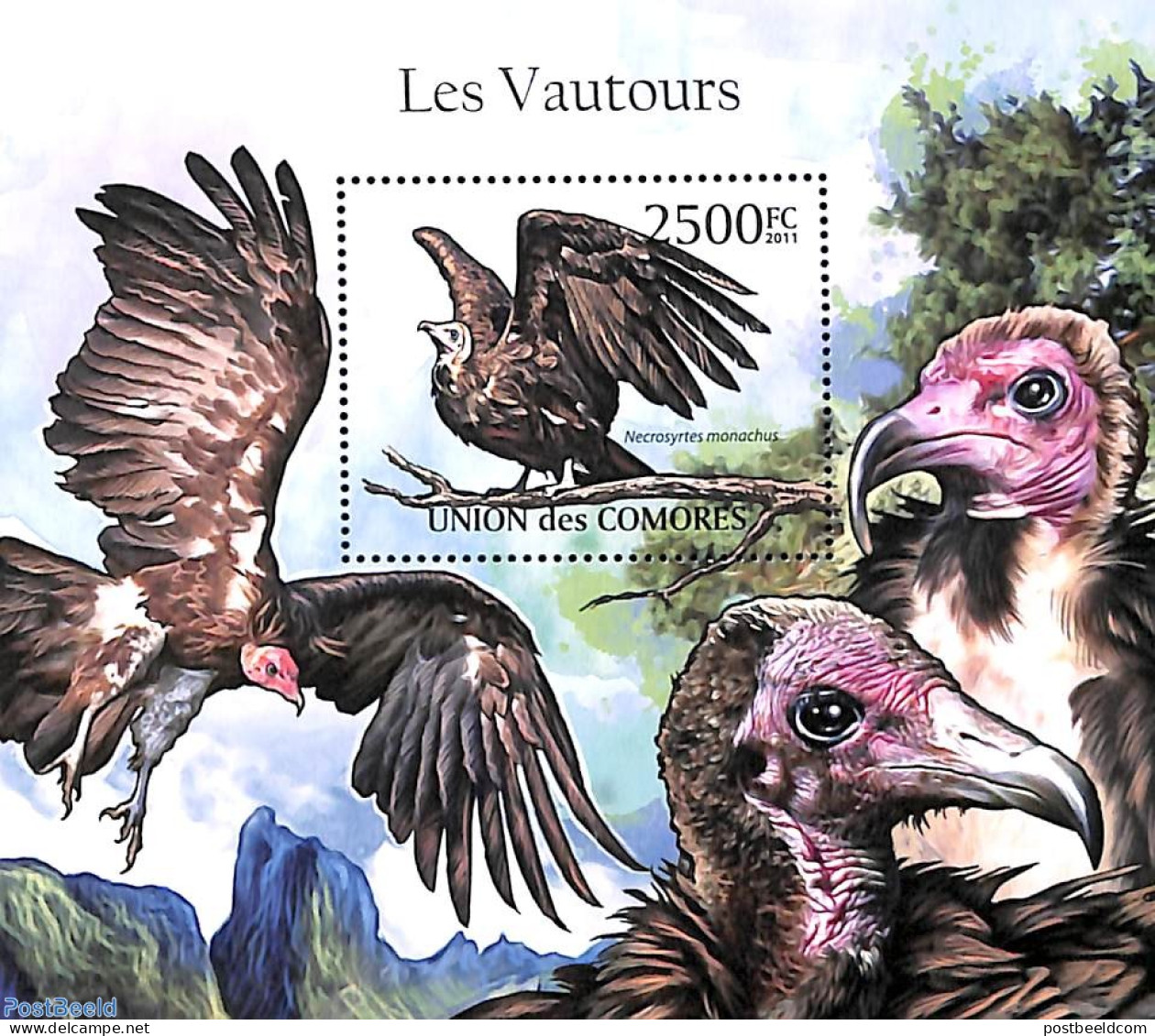 Comoros 2011 Vulture S/s, Mint NH, Nature - Birds - Birds Of Prey - Comores (1975-...)