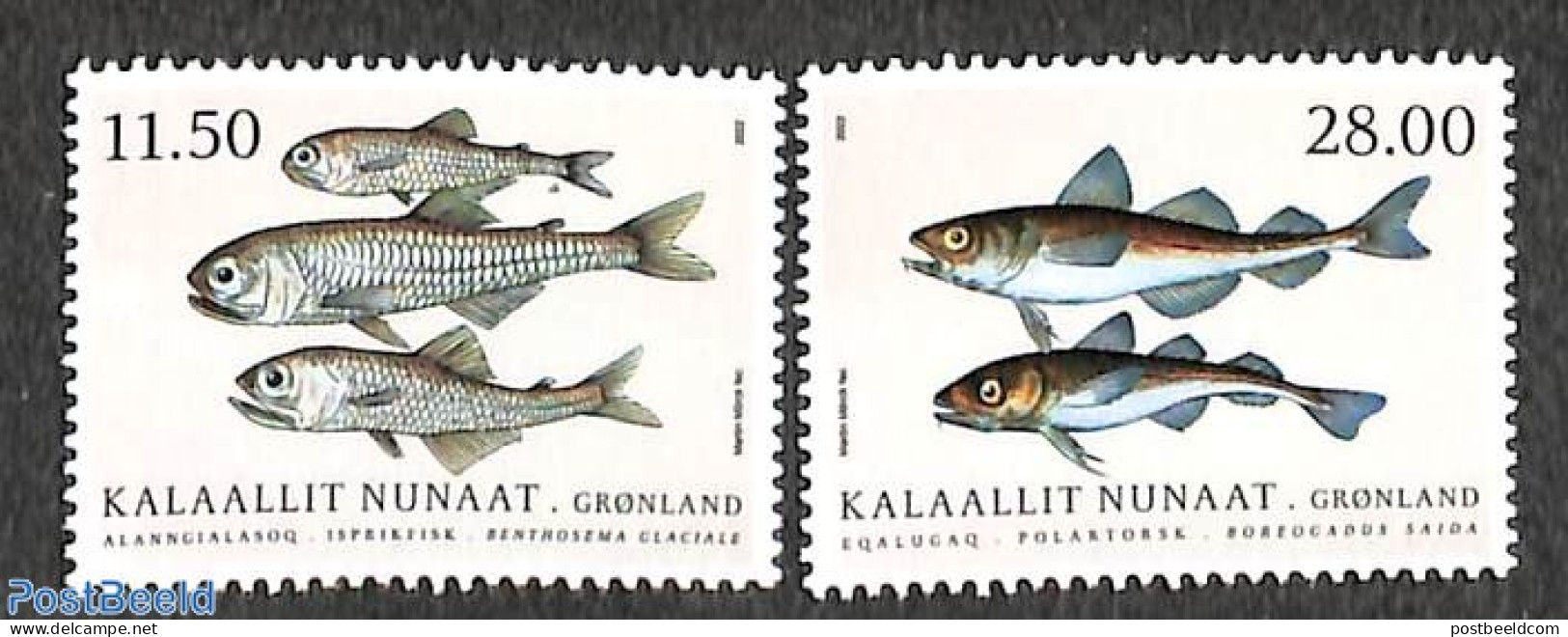 Greenland 2022 Fish 2v, Mint NH, Nature - Fish - Nuovi