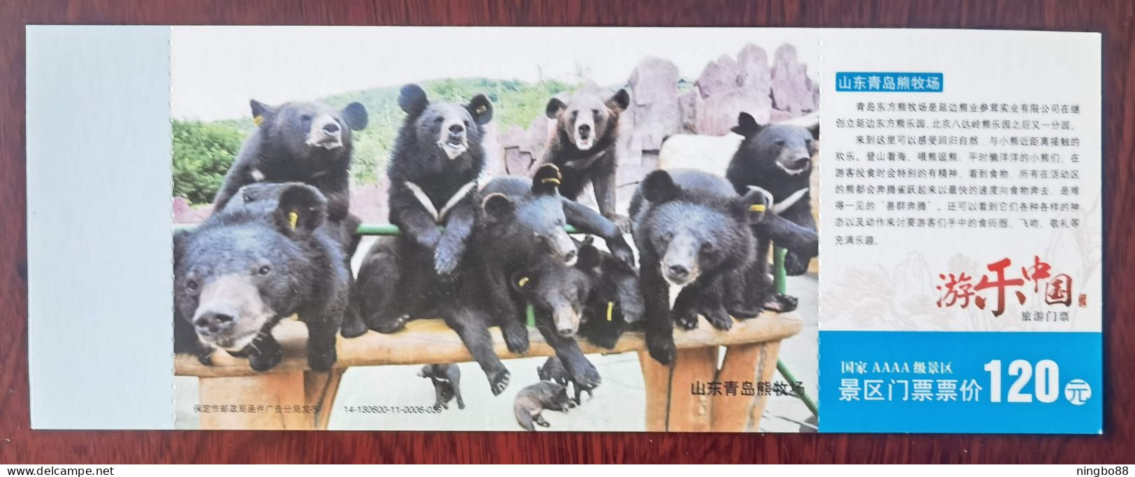 Northeast Black Bear,China 2014 Qingdao Bear Farm Tourism Scenic Spot Admission Ticket Pre-stamped Card - Bears