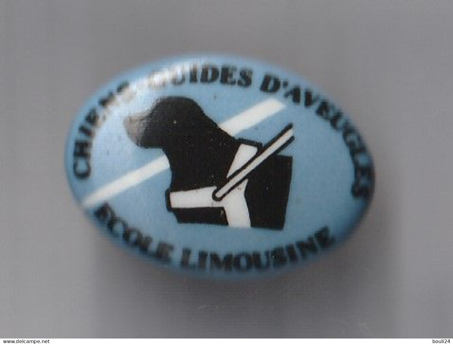 PIN'S   PORCELAINE CHIENS GUIDES D AVEUGLES ECOLE LIMOUSINE - Other & Unclassified