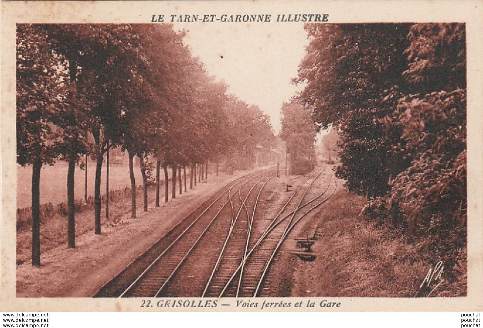 D5-82) GRISOLLES (TARN ET GARONNE) VOIES FERREES ET LA GARE - (2 SCANS) - Grisolles