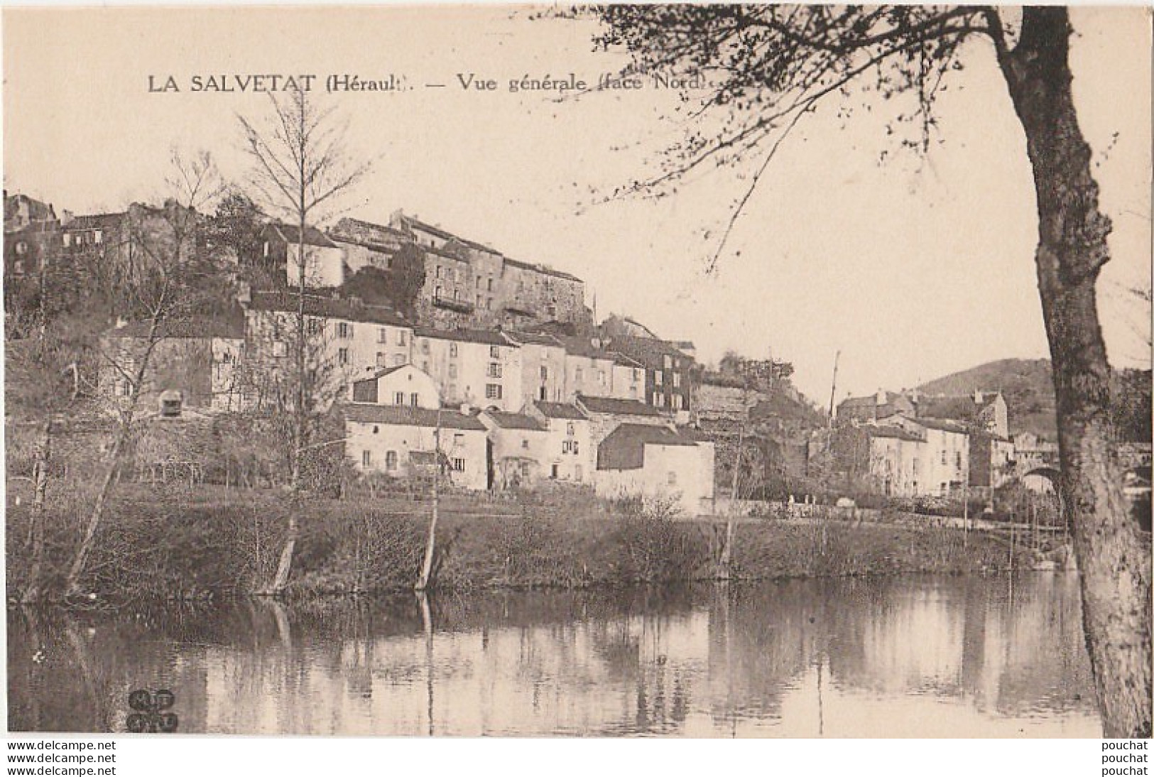 D6-34) LA SALVETAT (HERAULT) VUE GENERALE - (FACE NORD) - (2 SCANS) - La Salvetat