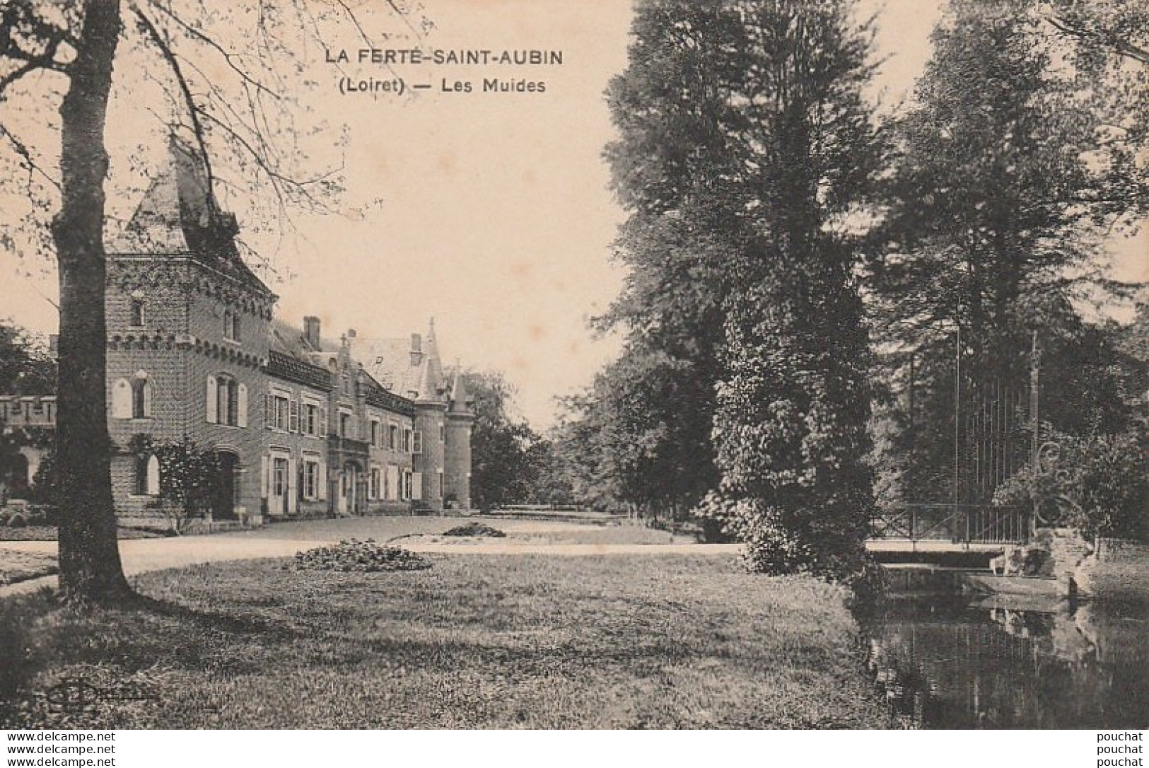 D23- 45) LA FERTE  SAINT AUBIN (LOIRET) LES MUIDES  - (2 SCANS) - La Ferte Saint Aubin