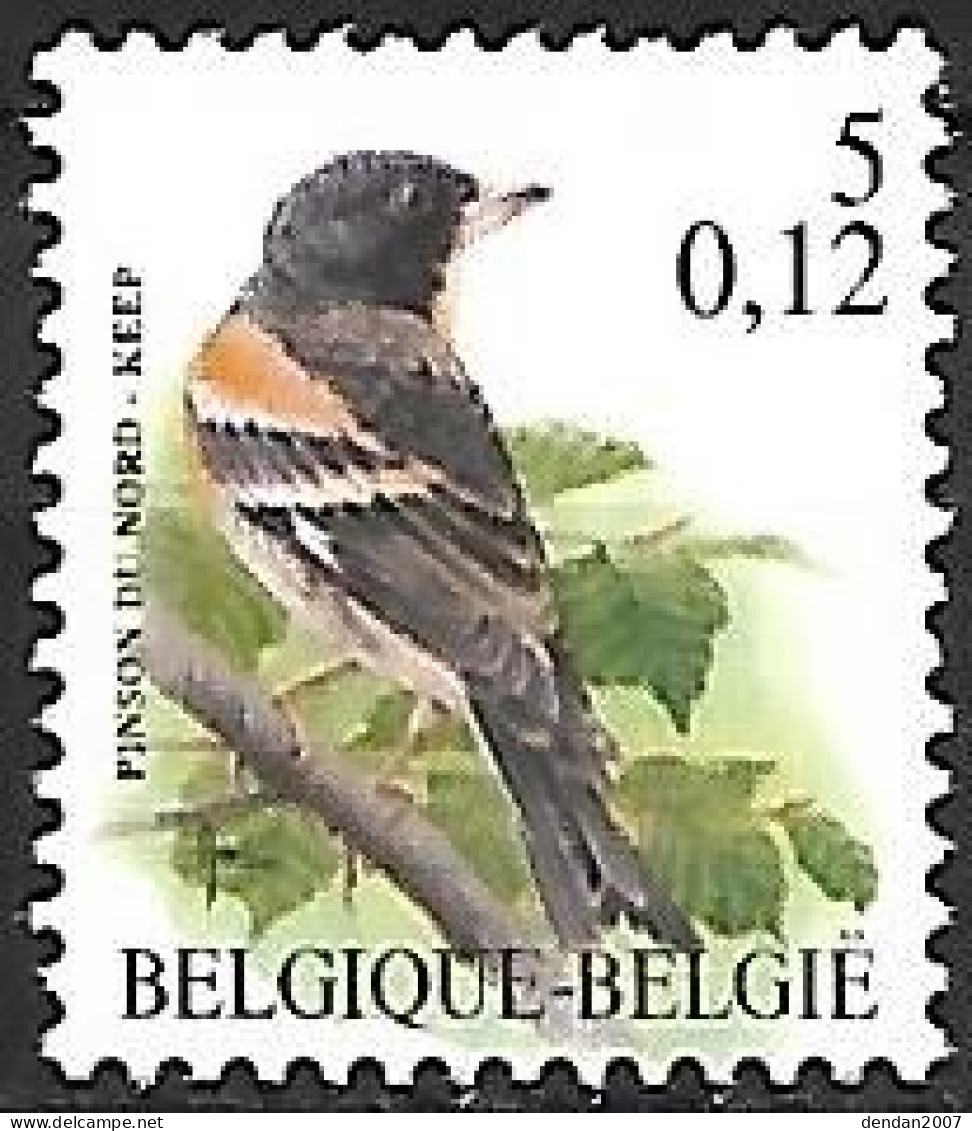Belgium - MNH ** BUZIN -  5 BEF - 0.12 €  / 2000 : Keep -  Brambling   - Fringilla Montifringilla - Zangvogels