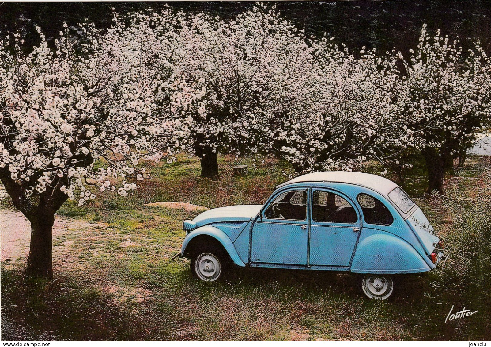 CPM . "  LE DEUCHE EN FLEURS  "  CARTE ECRITE AU VERSO - PKW