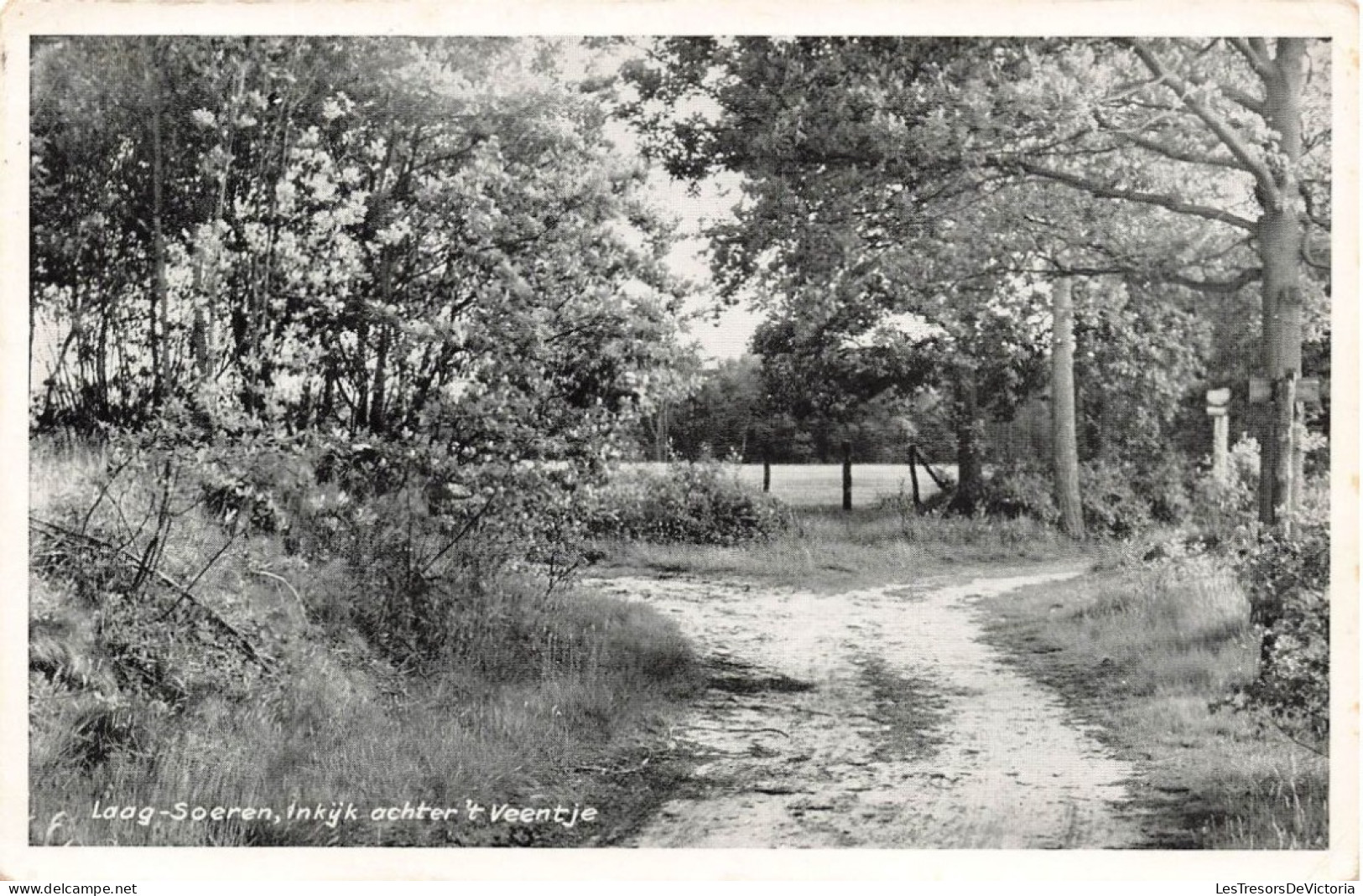 PAYS-BAS - Laag Soeren - Inkyk Ochter't Veentje - Vue D'une Route - Arbres - Forêt - Carte Postale Ancienne - Rheden